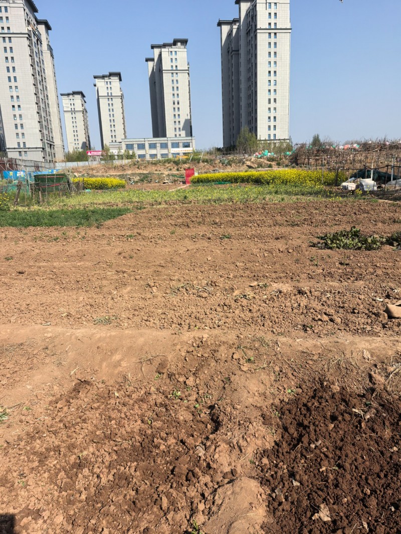出租阳光东尚西侧菜园（共享菜园），离市区3公里，有水有电，工具齐备，已安装围栏，（第 1 张）