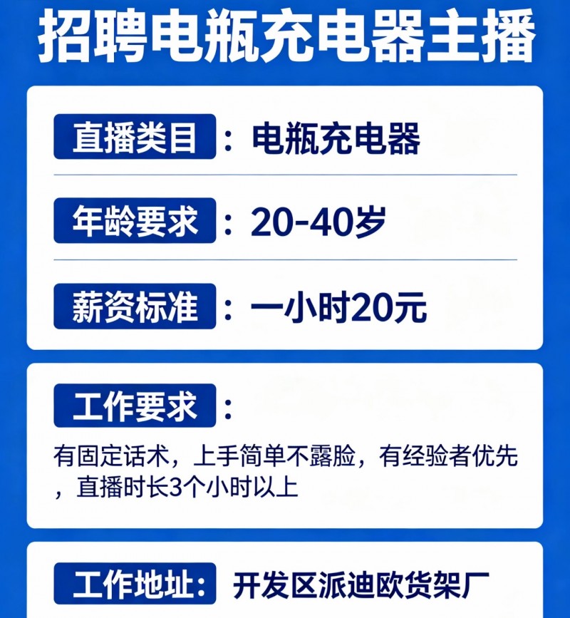 电瓶充电器带货主播（第 1 张）