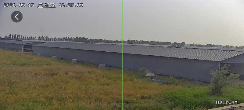 邯郸市曲周县槐桥镇王赵庄村西
出租鸡棚，交通便利，水电齐全，有十几个厂棚（第 1 张）