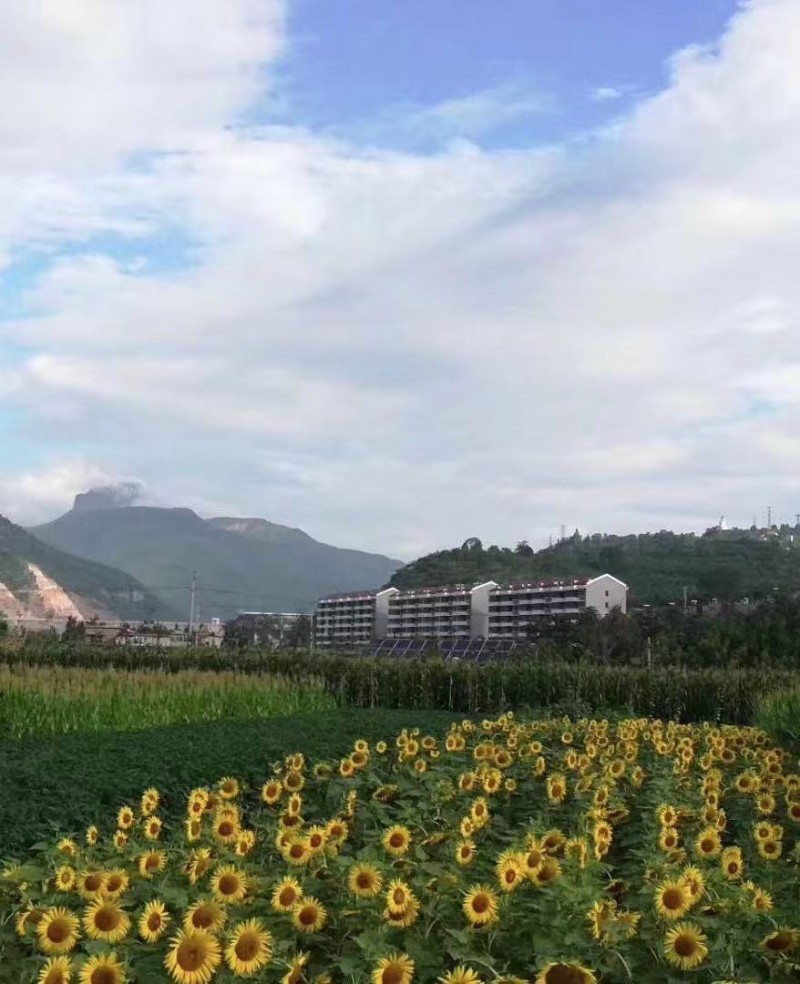 太祖山下，洺河河畔，依山傍水。邯郸人民后花园，武安西部景区养生房。——太祖山•洺（第 1 张）