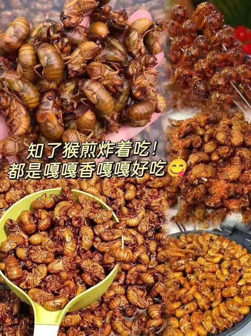 自家抓的爬蚱有要的吗，每天都是鲜活的，联系方式微信同步（第 1 张）