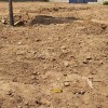厂房出租 
3亩空闲场地出租，价格底，安全。
地址:三里堤村内（第 2 张）