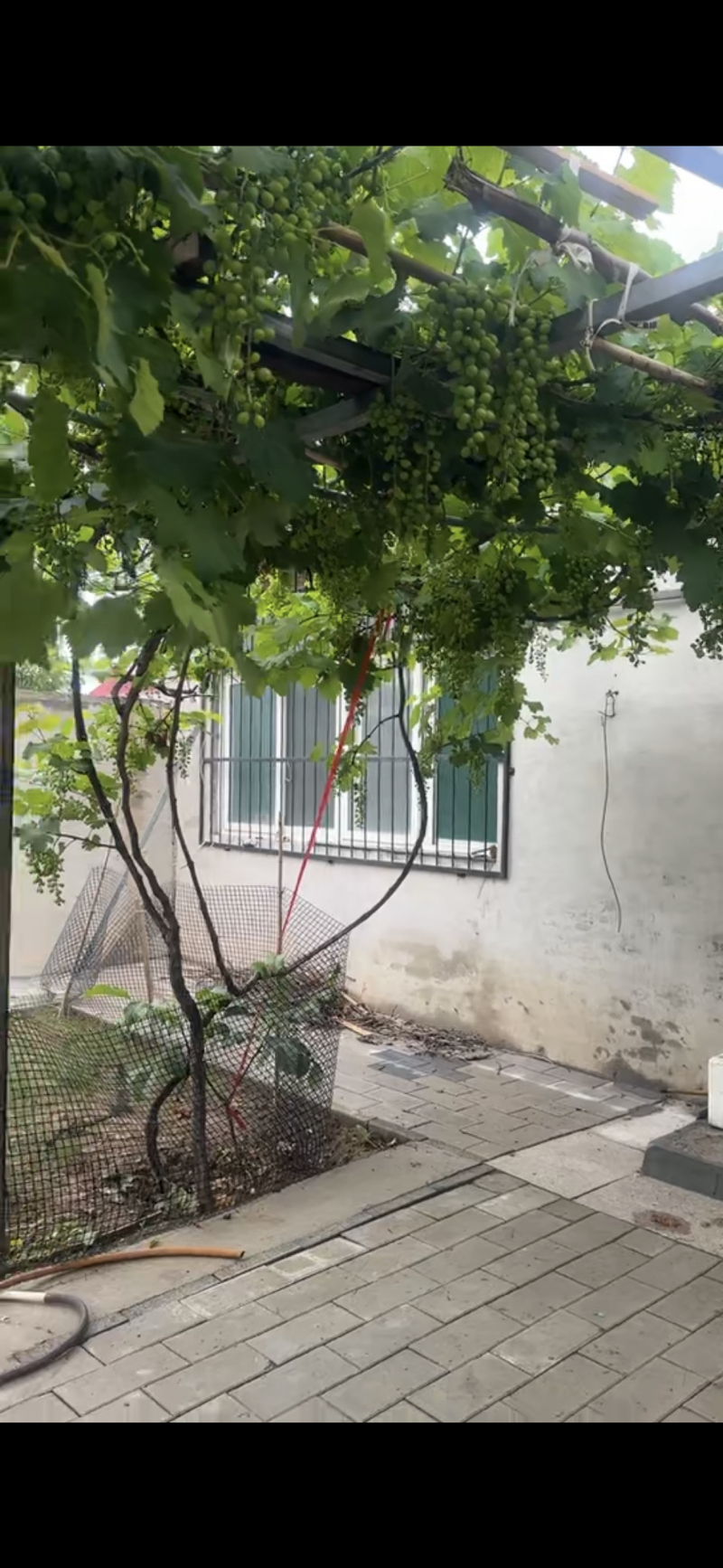 出租民房一年1w地址：人民路赵王大街上（第 3 张）