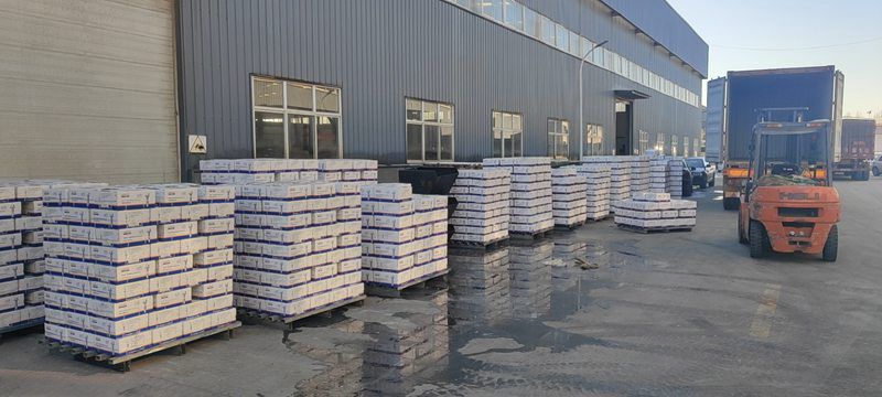 上海贸诺钻尾丝河北总代理
国标5.5贸诺牌六角头钻尾丝
中标4.8美钻牌六角（第 1 张）