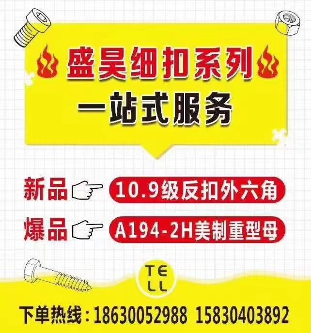 盛昊细牙大全 
8.8细牙外六角 10.9细牙外六角 12.9细牙外六角 12（第 1 张）