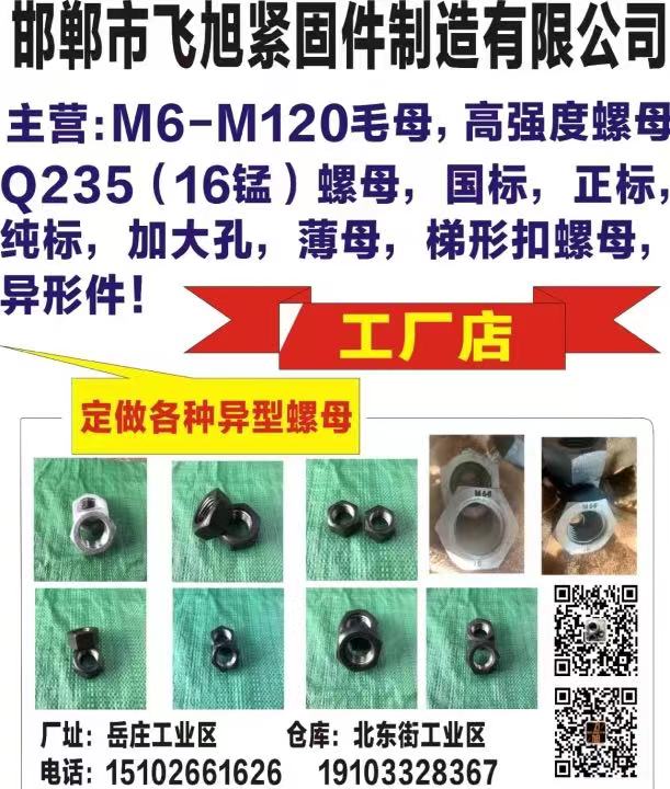 邯郸市飞旭紧固件制造有限公司
主营:M6-M120毛母，高强度螺母Q235(1（第 1 张）