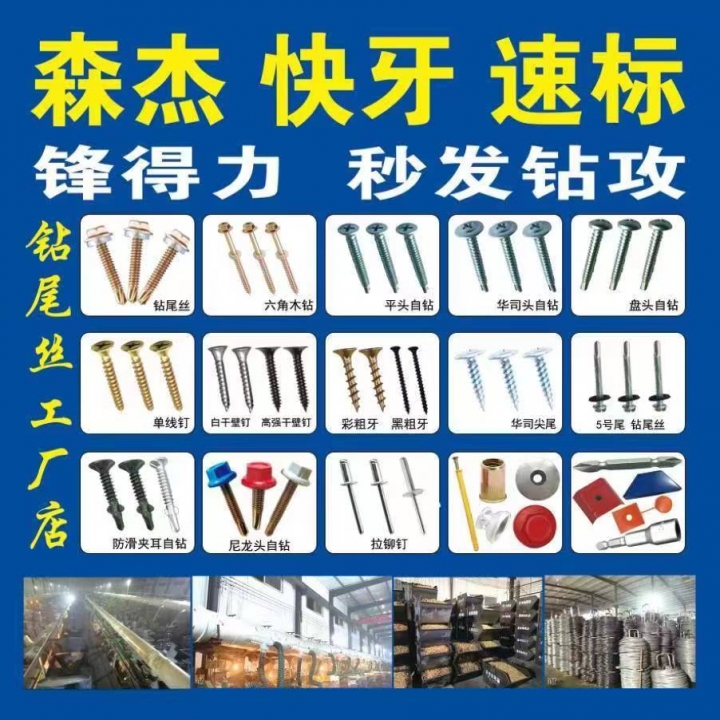 森杰 快牙 速标
锋得力和秒发钻攻
钻尾丝 六角木钻 平头自钻 华司头自钻 （第 1 张）