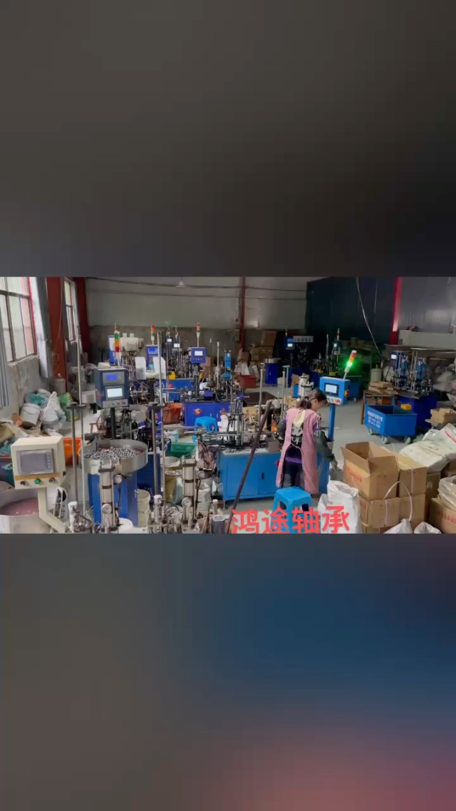 山东鸿途轴承合套仪专号6200 6201 6202 6002 6003
实体工（第 1 张）