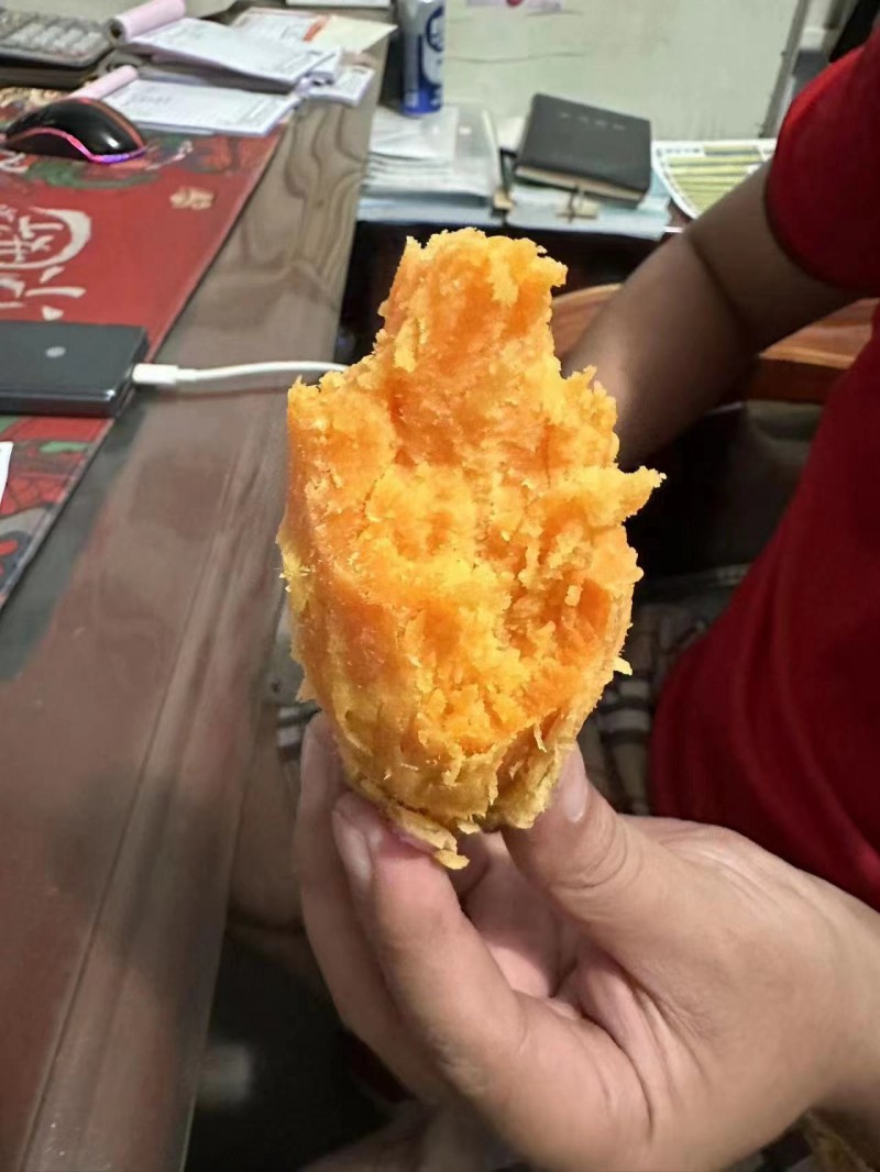 老板要红薯不     沙地板栗薯
保证甜 好吃   保证不拉丝不柴  蒸  煮（第 1 张）