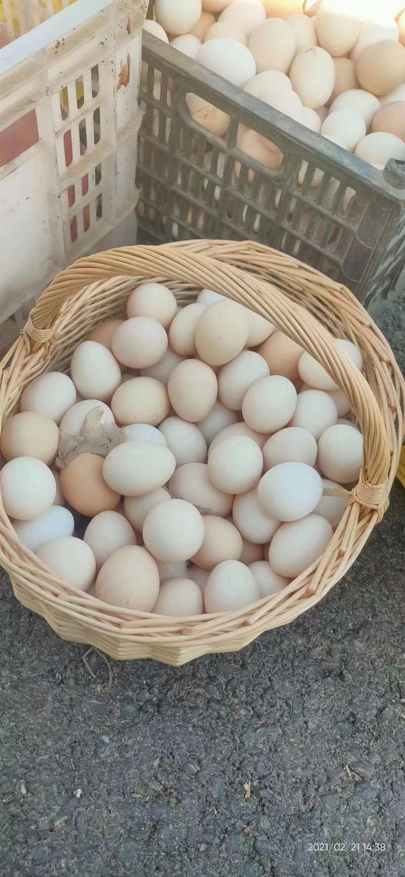 中秋佳节走亲访友最佳礼品
纯天然散养笨鸡蛋
营养美味老少皆宜，
欢迎新老顾（第 2 张）