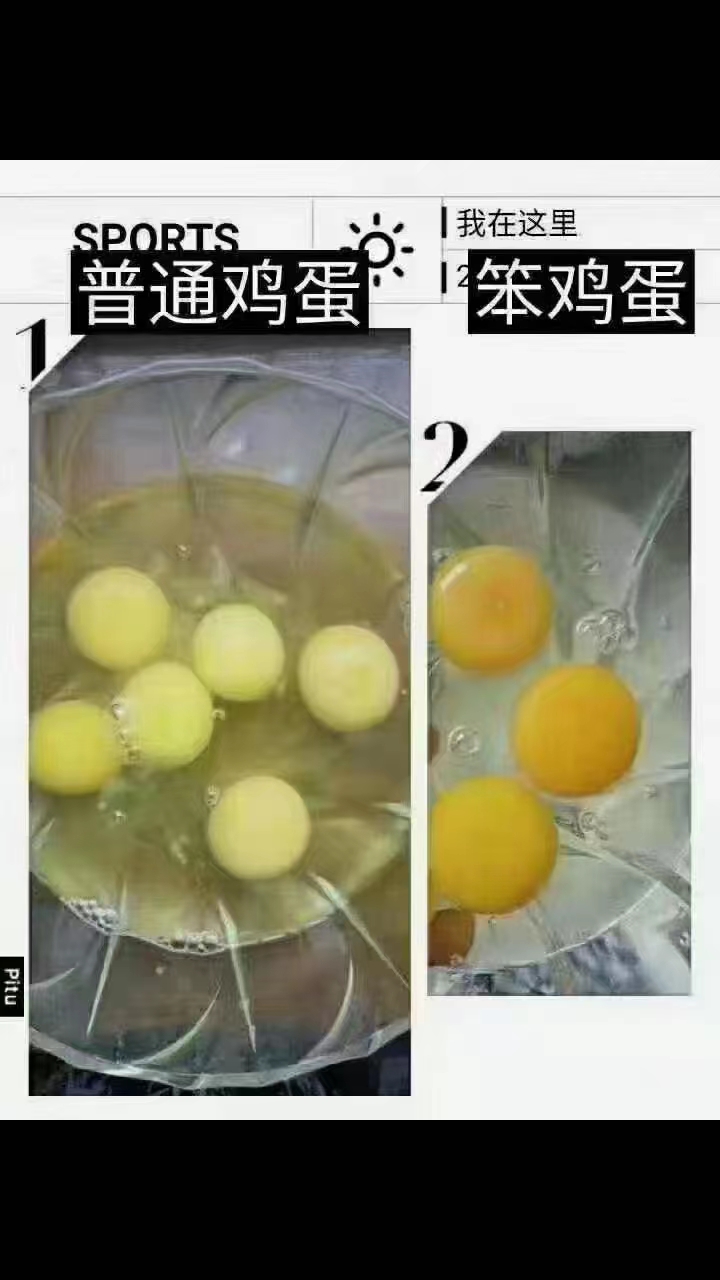 中秋佳节走亲访友最佳礼品
纯天然散养笨鸡蛋
营养美味老少皆宜，
欢迎新老顾（第 5 张）