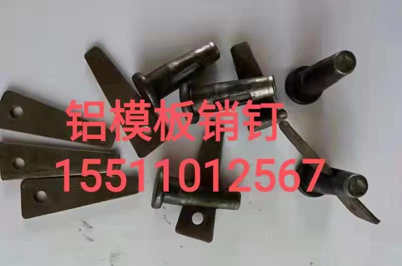 本厂主要生产16*52铝模板销钉销片厂家 ，可定制多种异性卡位，大量现货价格便宜（第 7 张）