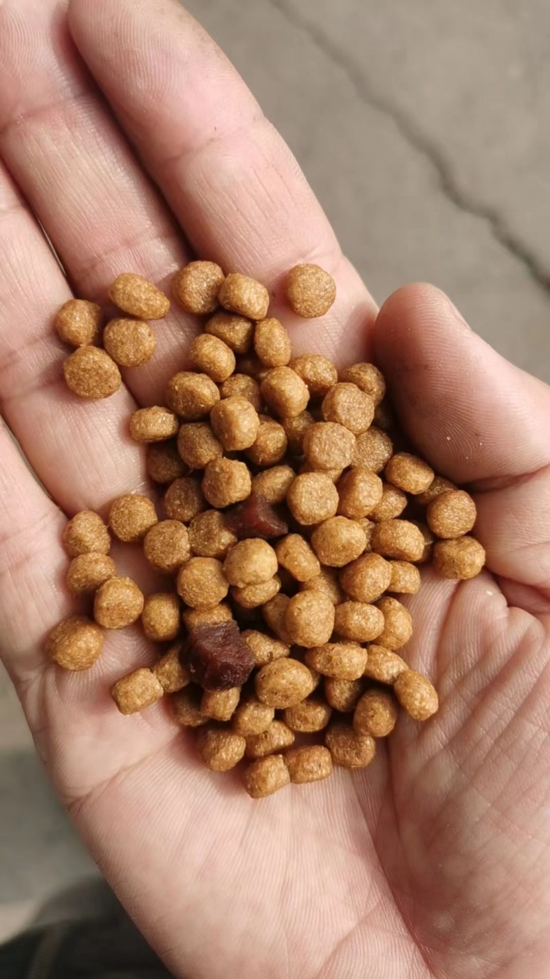 永年区狗粮猫粮批发零售，有成犬粮，幼犬粮，双拼粮，冻干粮，奶糕粮，有5斤，10斤（第 1 张）