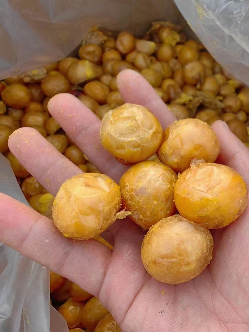 永年区宠物食品用品批发，品牌猫粮，犬粮，成犬粮，幼犬粮，冻干粮，等，什么价位的都（第 2 张）