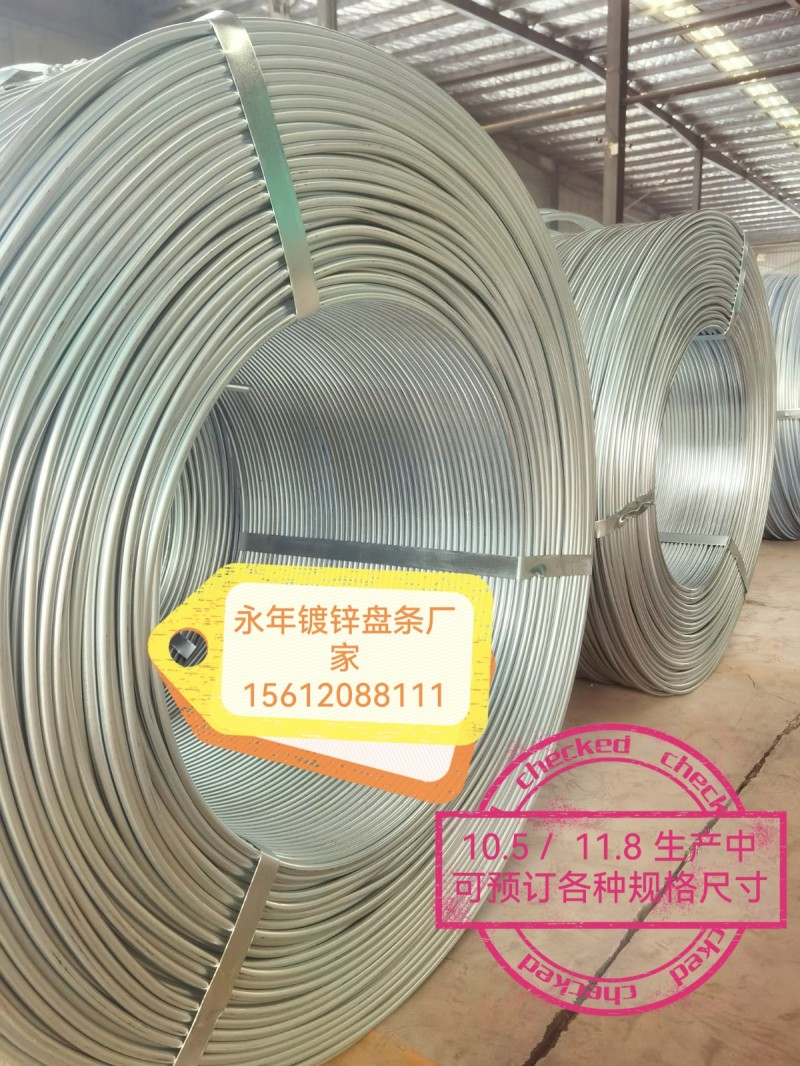 本地镀锌盘条现货供应（第 1 张）