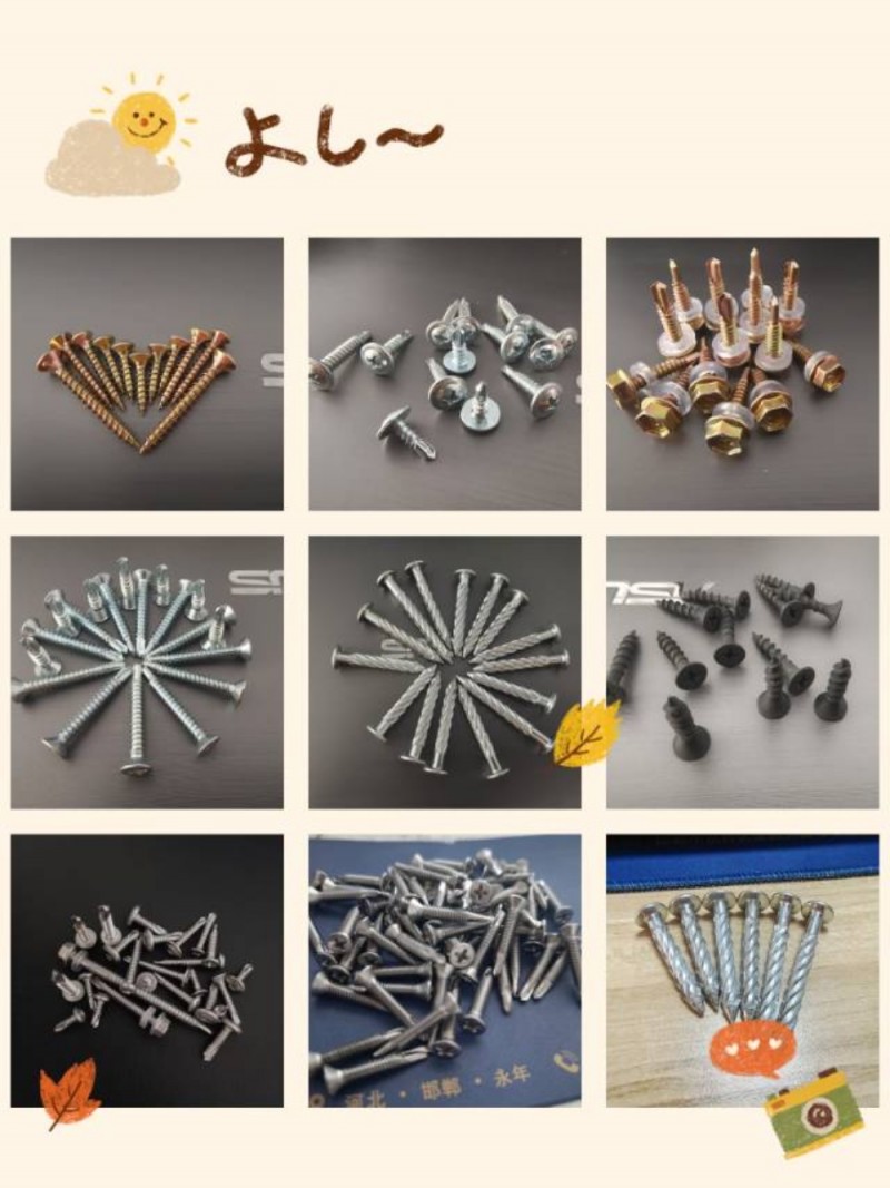 主营产品:钻尾丝、纤维板钉、沉头十字钻尾丝华司钻尾丝、上海高强度自攻丝、塑料涨栓（第 1 张）