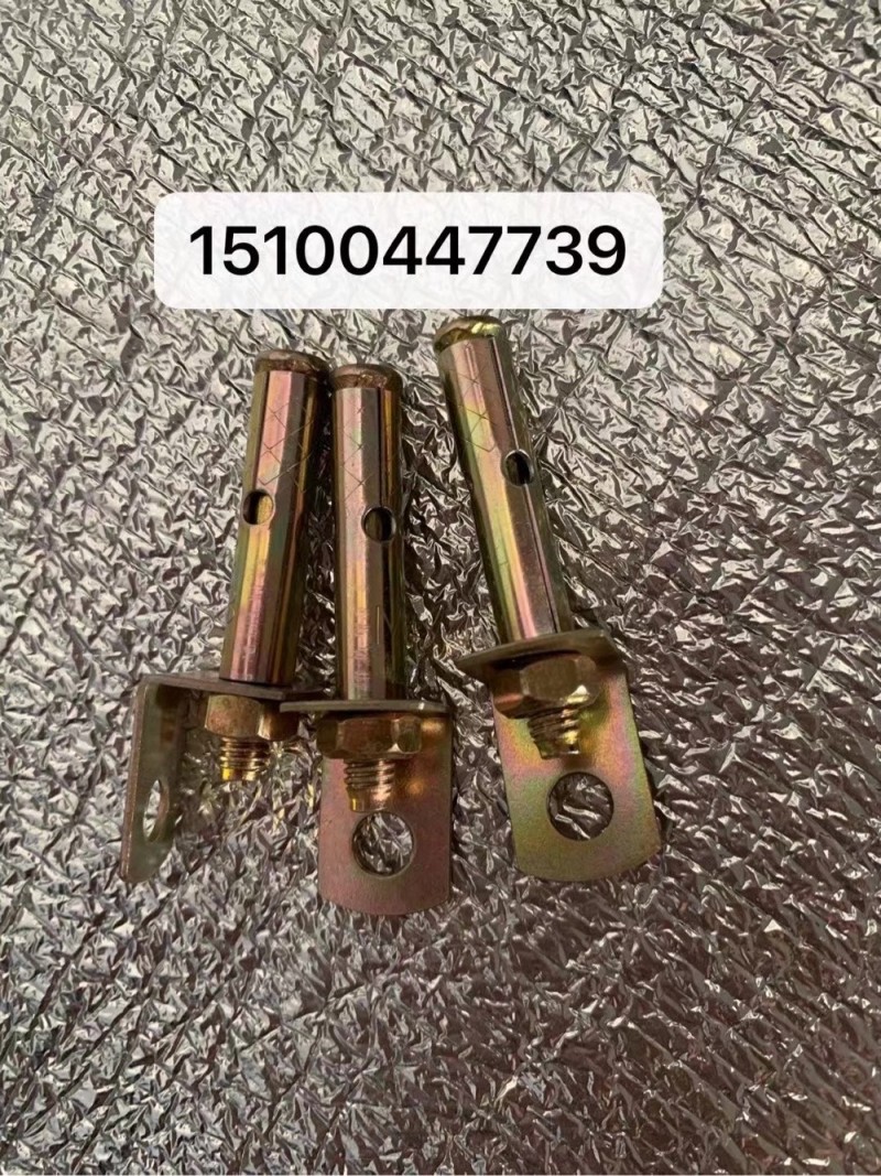 车修壁虎，内迫壁虎（第 2 张）
