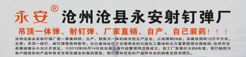 主营产品:吊顶一体钉、射钉弹等各种型号。（第 1 张）