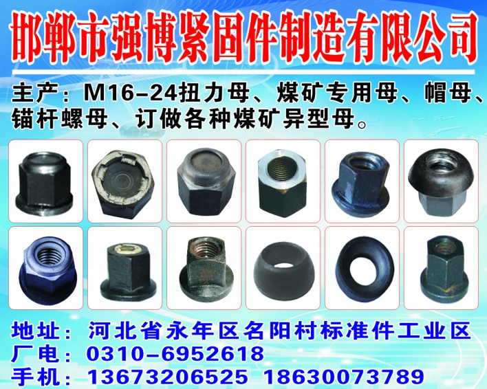 邯郸市强博紧固件制造有限公司位于中国紧固件之都---永年
主要生产:M16-2（第 1 张）