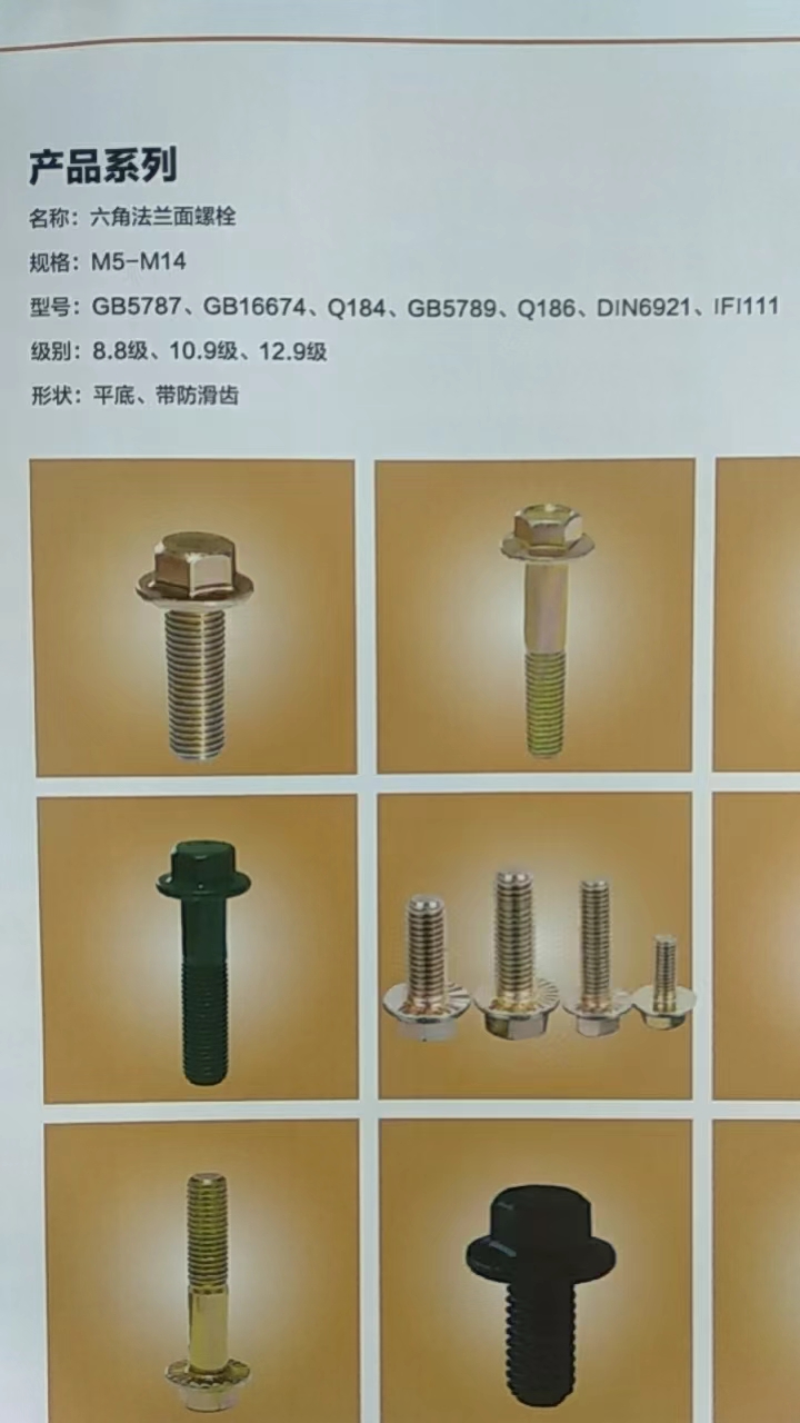 海盐宏润紧固件有限公司 
产品系列 
名称:六角法兰面螺栓 
规格:M5-（第 1 张）