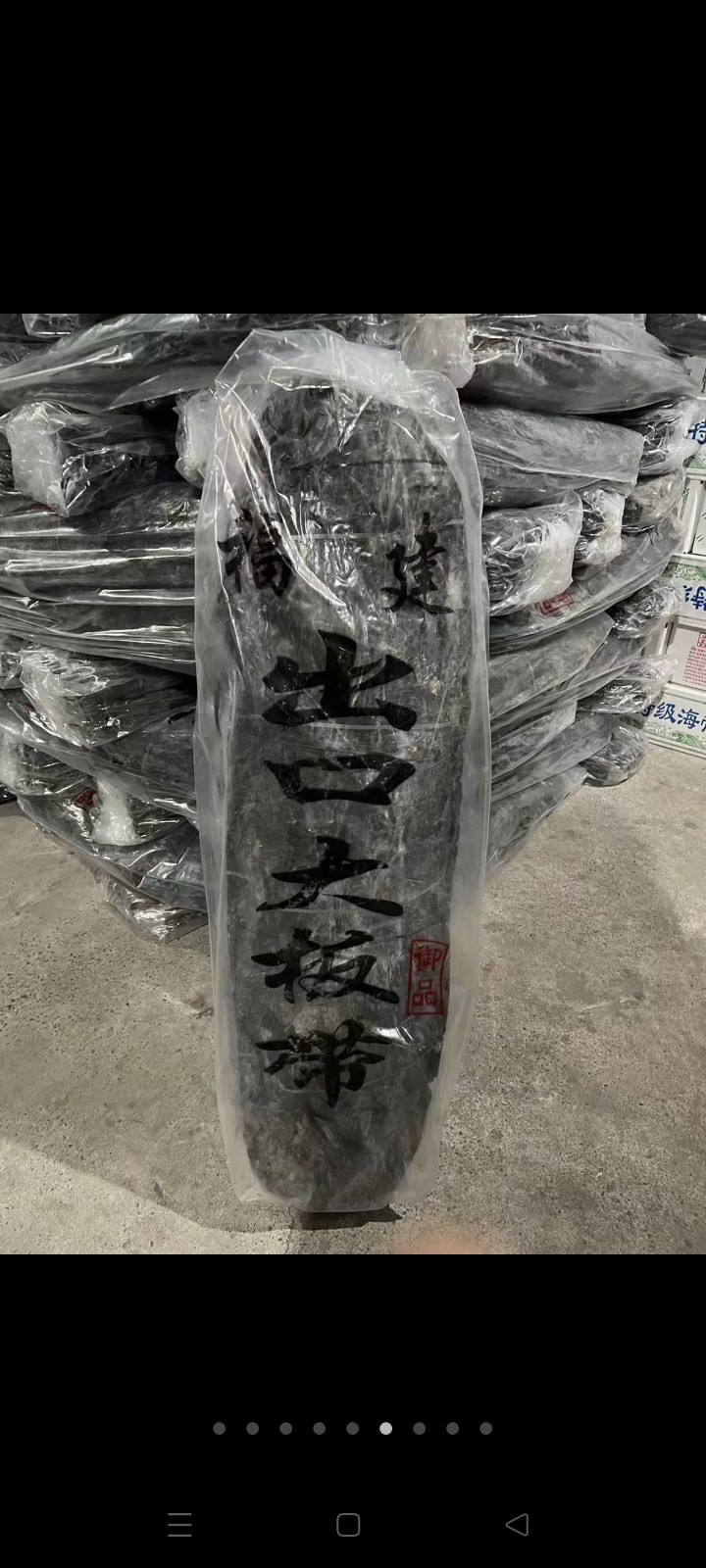 诚招代理商专业批发海带系列：宽大板好绿海带，海带丝，海带头，二剪板，标准包4斤包（第 3 张）