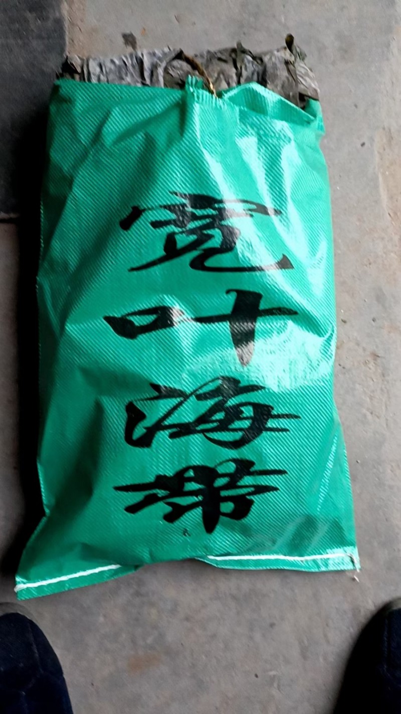 诚招代理商专业批发海带系列：宽大板好绿海带，海带丝，海带头，二剪板，标准包4斤包（第 6 张）