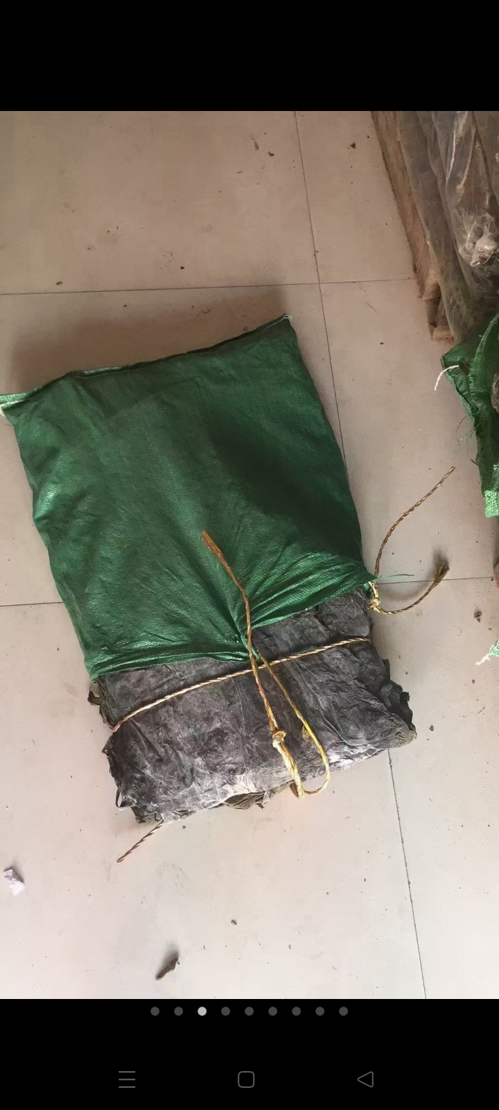 诚招代理商专业批发海带系列：宽大板好绿海带，海带丝，海带头，二剪板，标准包4斤包（第 8 张）