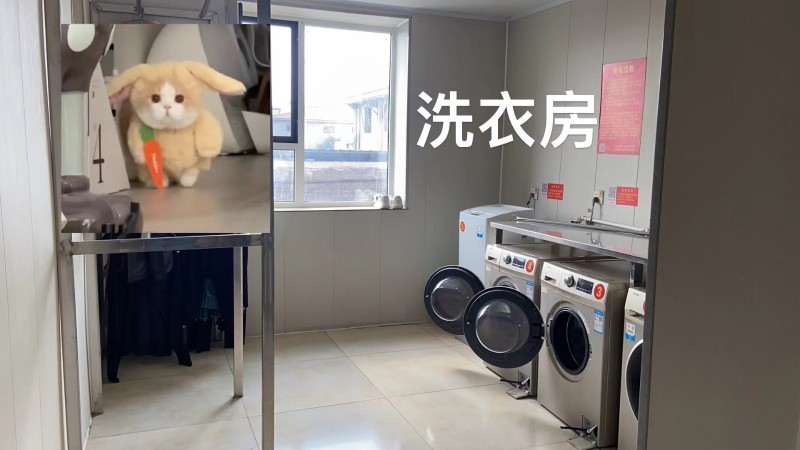 永年区东召庄乾呈公寓
月租600，单间出租独立卫生间
☀️南北通透采光优秀（第 7 张）