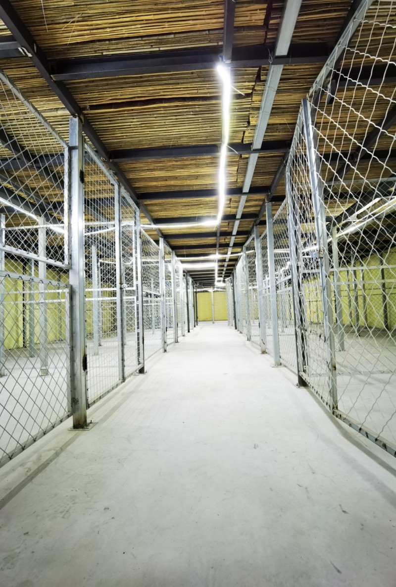 信昌冷库位于永年区临洺关富强北路与科技街交叉口西南角，周边交通便捷，货品配送及调（第 2 张）