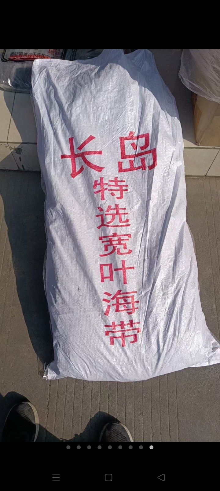 专业批发海带系列：宽大板好绿海带，海带丝，海带头，二剪板，标准包4斤包，折板超市（第 6 张）