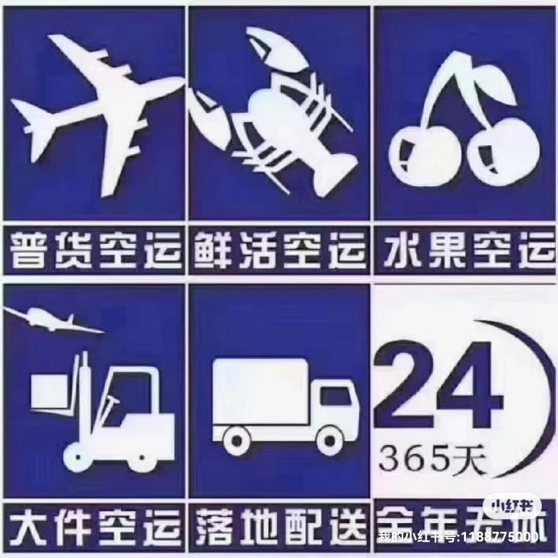 石家庄机场天津北京机场航空空运高铁快运全国当日达次日达上门提货派送到门急件加急件（第 3 张）