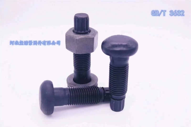 钢结构扭剪螺栓生产加工
本厂冷镦加工M16、M24扭剪型螺栓，热打加工M27、（第 4 张）