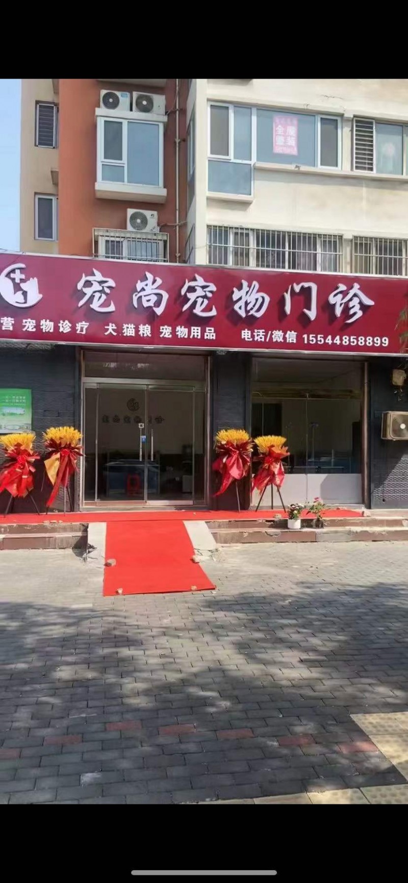 宠物疫苗接种 专业治疗细小 猫瘟 猫鼻支等各种宠物疾病   活体➕宠物用品出售（第 1 张）