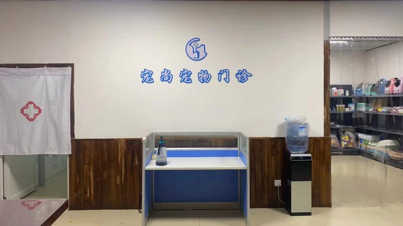 宠物疫苗接种 专业治疗细小 猫瘟 猫鼻支等各种宠物疾病   活体➕宠物用品出售（第 9 张）