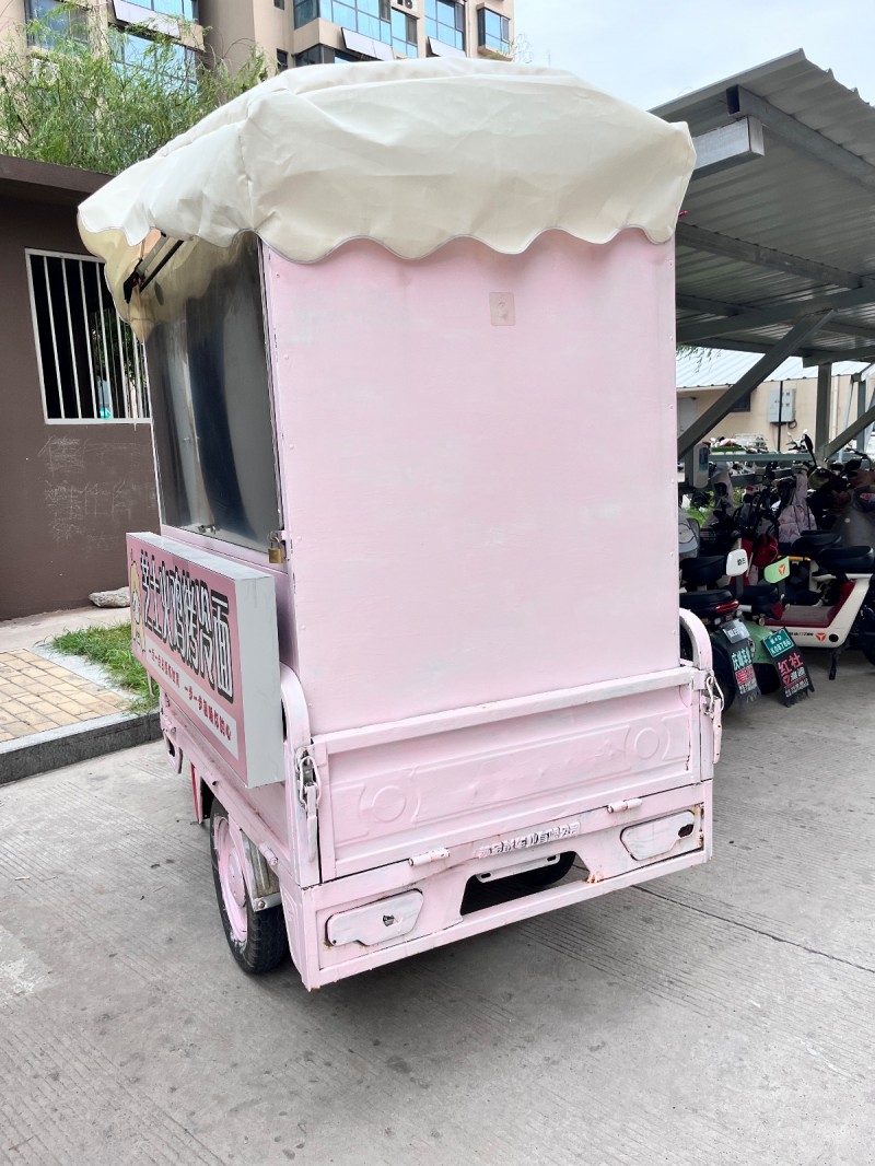 金彭电动车，可跑三十公里，带不锈钢架子，带灯箱，带逆变器，2800元不议价！永年（第 3 张）