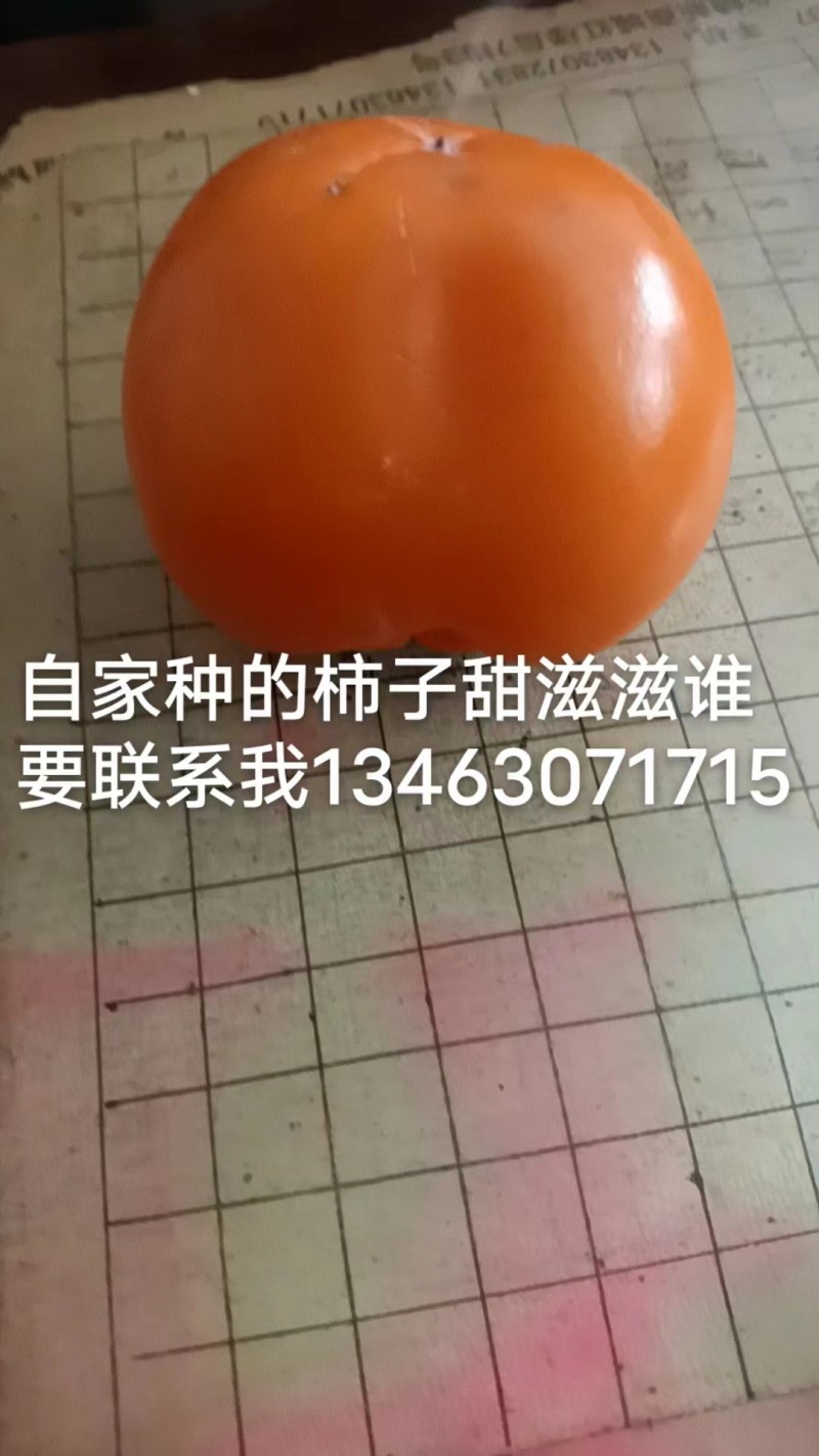 自家种的柿子甜滋滋谁要联系我（第 1 张）