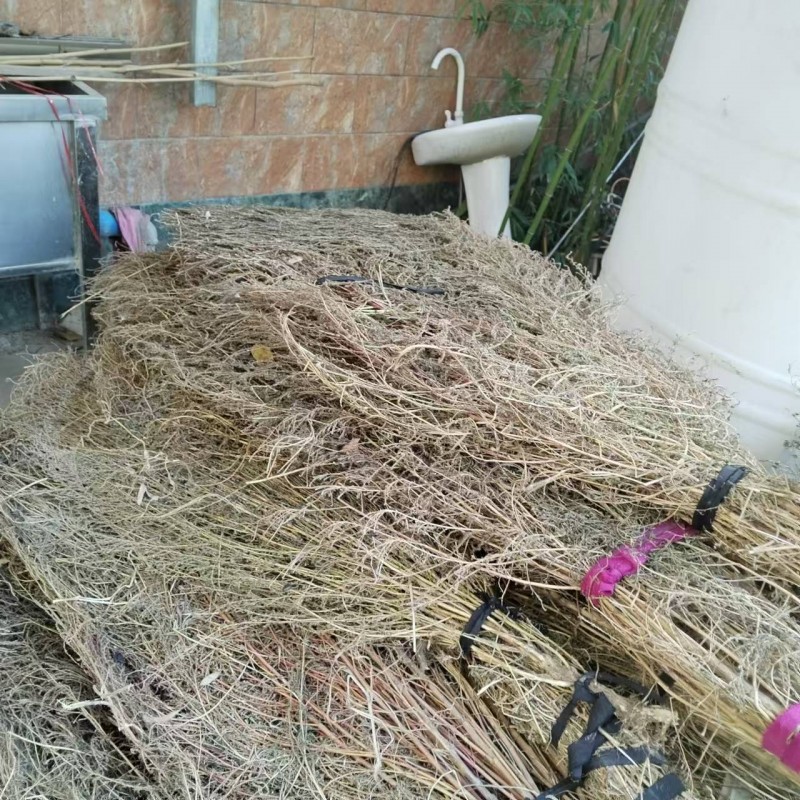 给钱就卖，想要的联系（第 1 张）