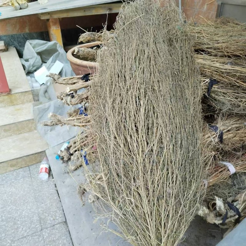 给钱就卖，想要的联系（第 2 张）