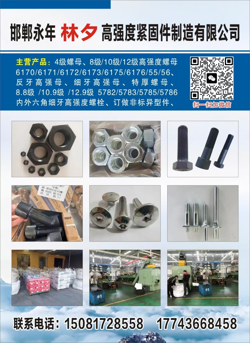 主营产品: 4级螺母，8级/10级/12级高强度螺母
6170/6171/61（第 1 张）