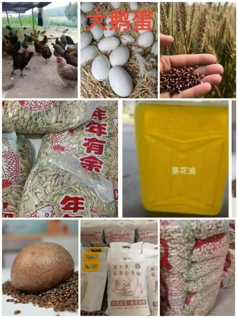 自家种了沙土炒花生，现炒了原味25元一袋，另有蒜香味，五香味，奶香味，山核桃味一（第 1 张）