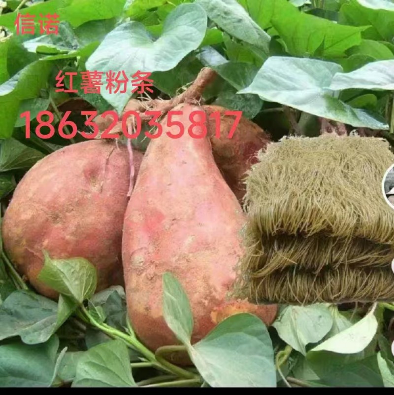 佳节来临之际[玫瑰][玫瑰]信诺红薯芡粉条使你亲走访友最佳礼品，质量加精美礼盒，（第 4 张）
