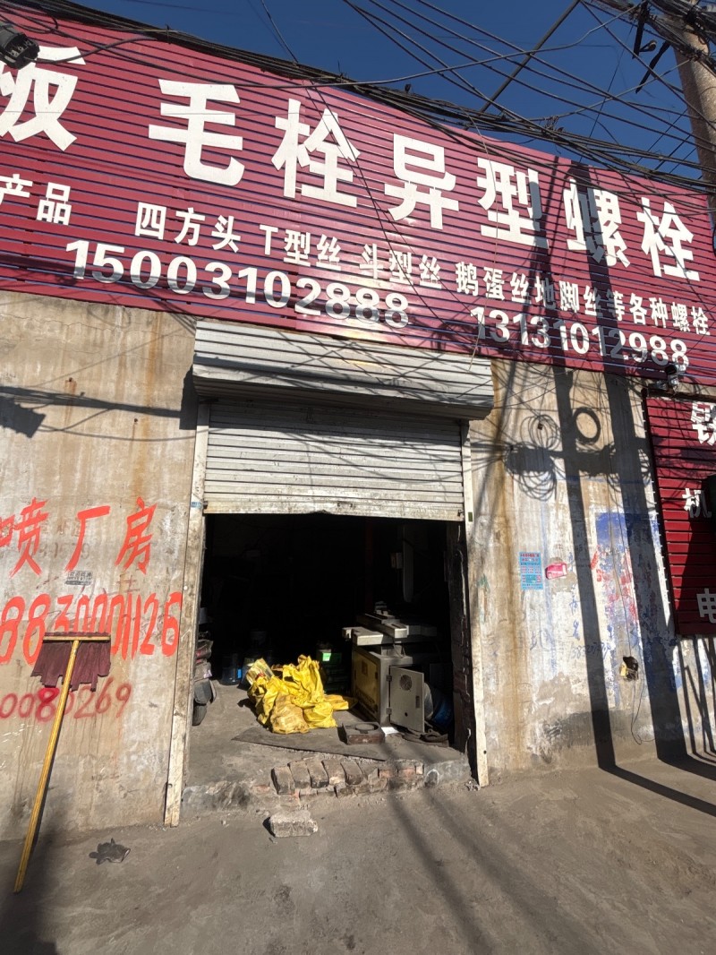 异型螺栓 四方头 丅型丝 斗型丝 鹅蛋丝地脚丝等各种螺栓（第 1 张）