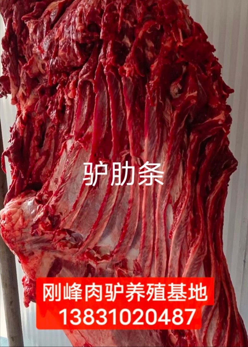 好消息，邯郸永年刚峰肉驴养殖基地常年供应生鲜驴肉，驴下水，活驴批发！现杀现卖，保（第 3 张）