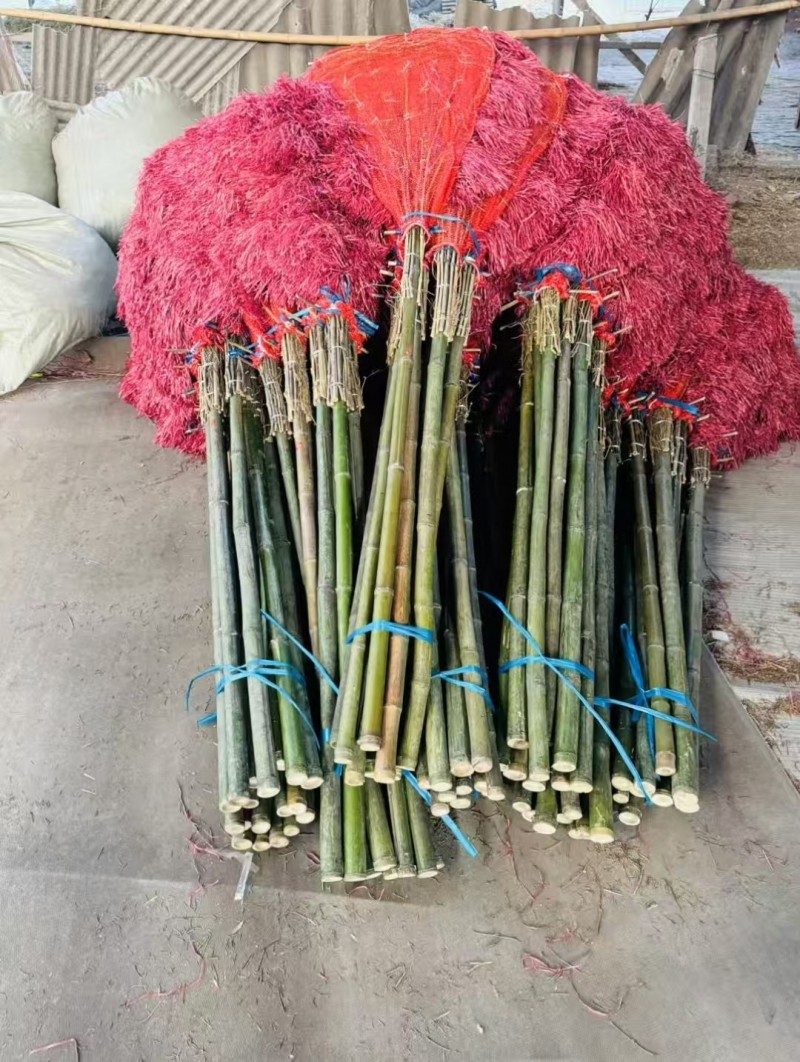 扫院子神器，干净又轻便，有需要的可以联系我！（第 1 张）