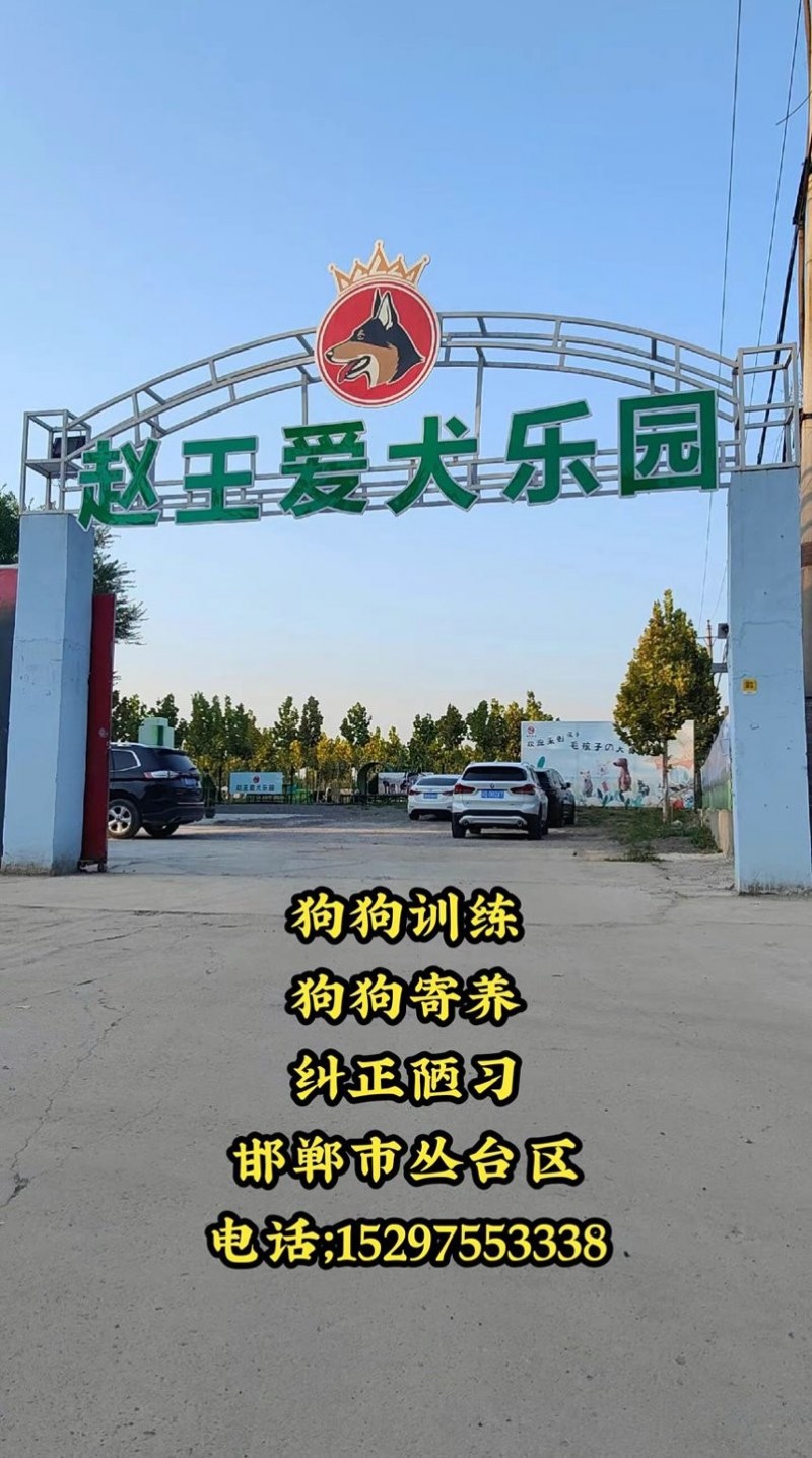 邯郸市丛台区
赵王爱犬训练基地！！！
基地开设:
工作犬训练护卫犬训练基本（第 2 张）