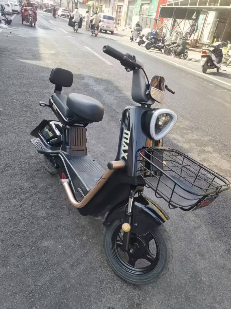 踏浪电动车，五块大电瓶，2900买了一个月，电瓶被偷了，今天刚装的新电瓶，保修一（第 1 张）