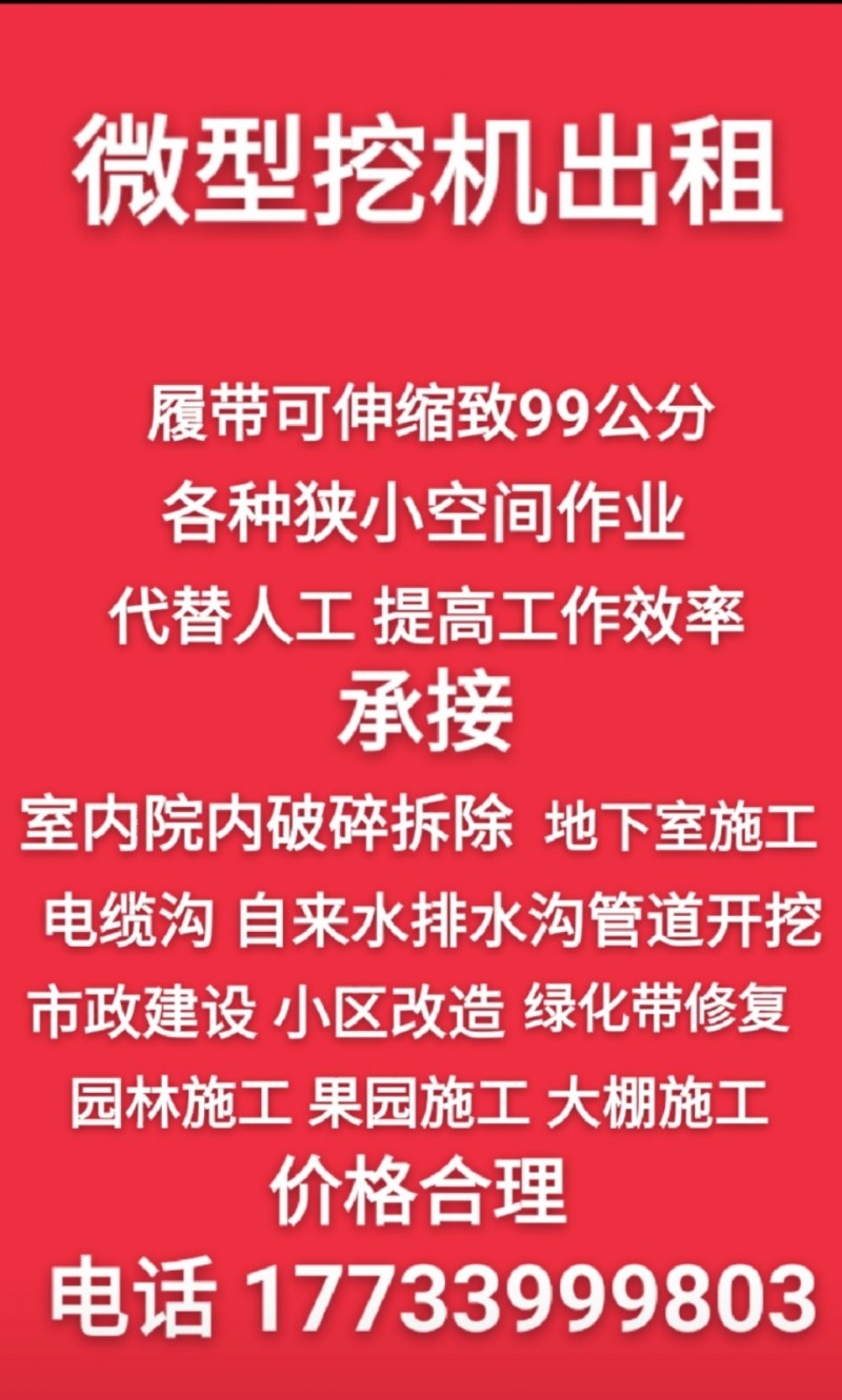 进口微型小挖机出租，承包微型挖掘机工程，机身1米宽，1米5高。完全替代人工，园林（第 2 张）