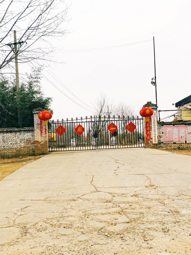 永年区西大屯村广府大街，厂房出租，（第 1 张）