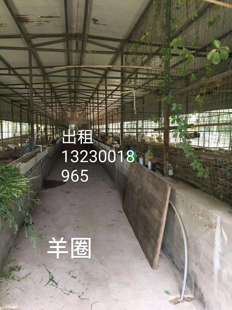 .出租土地，出租羊圈。 可养殖，可种植，面积大，水电设备齐全。 配套完善，有住房（第 1 张）