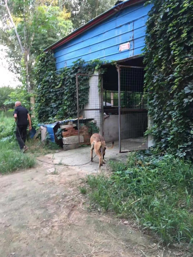 .出租土地，出租羊圈。 可养殖，可种植，面积大，水电设备齐全。 配套完善，有住房（第 2 张）